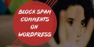Block Spam Comments On WordPress