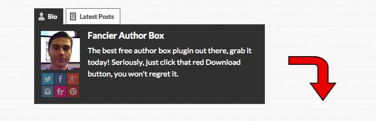 Fancier Author Box