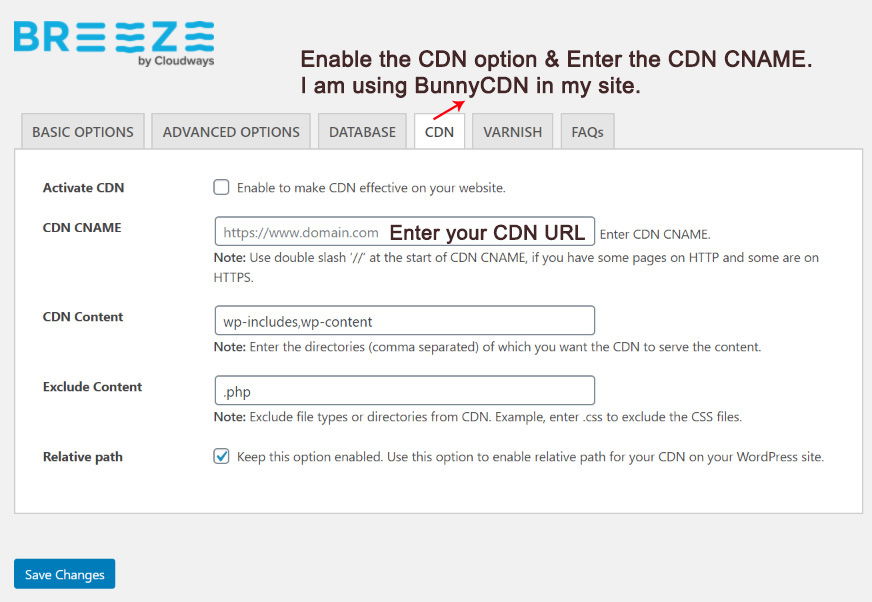 Cloudways Breeze CDN Options