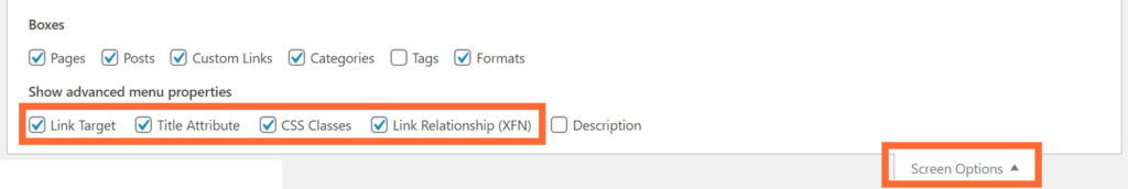 Screen Options in WordPress Menu