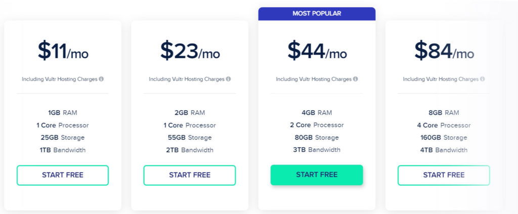 Vultr Pricing in Cloudways Hosting