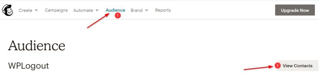 Audience section in MailChimp