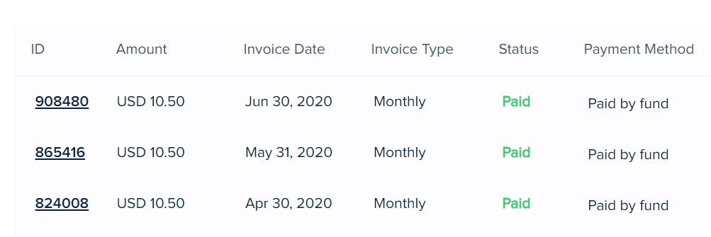 Cloudways Monthly Billing Invoice