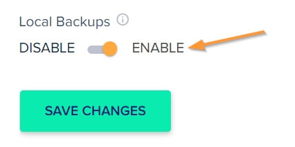 Local Backup on Cloudways