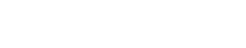 Kinsta Logo